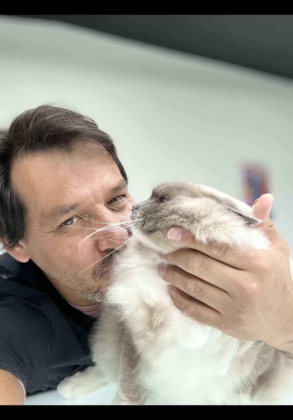 @lovewithtails