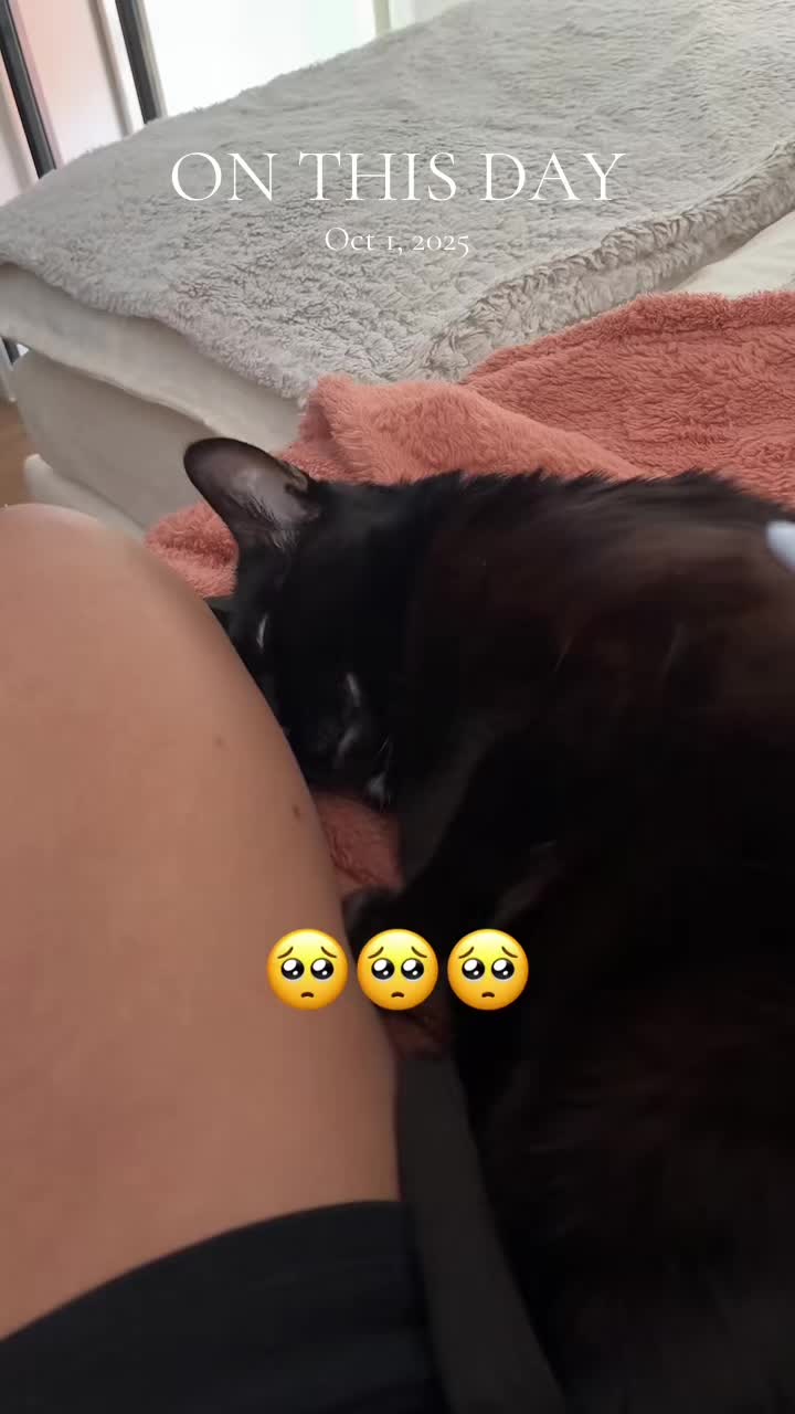@Roxanne - thenovelsanctuary