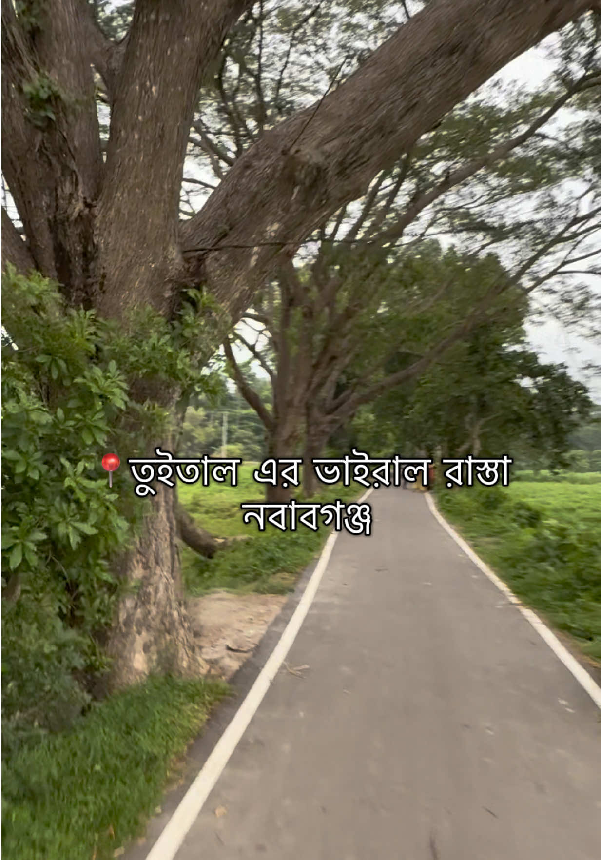 @Sallu