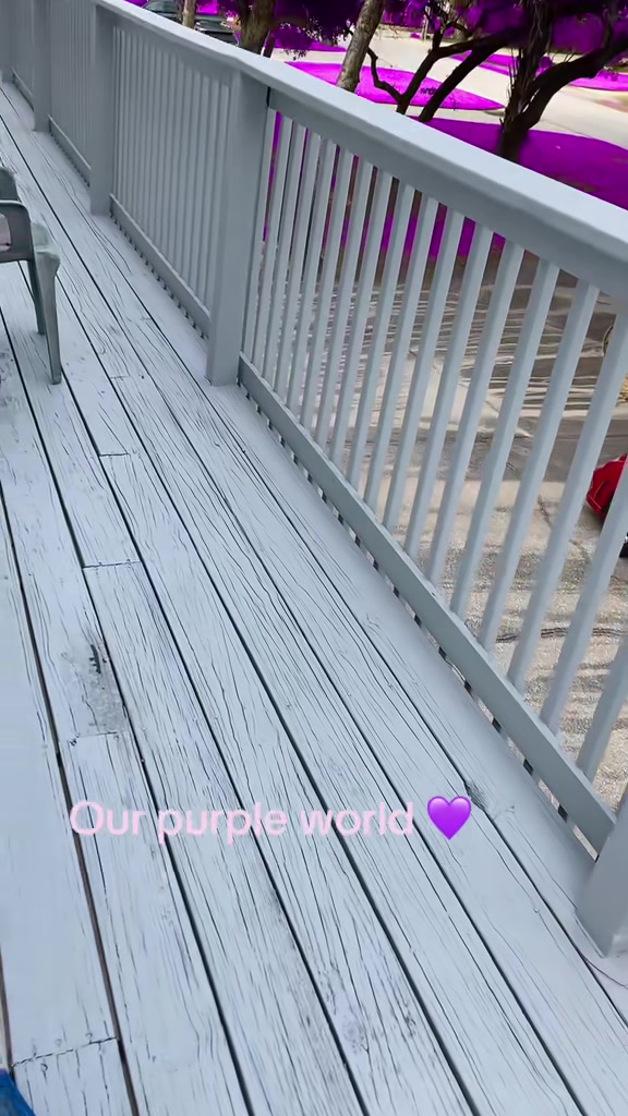 @SanK✨💜luvs✨💜BTS & ELVIS ⚡️🕺