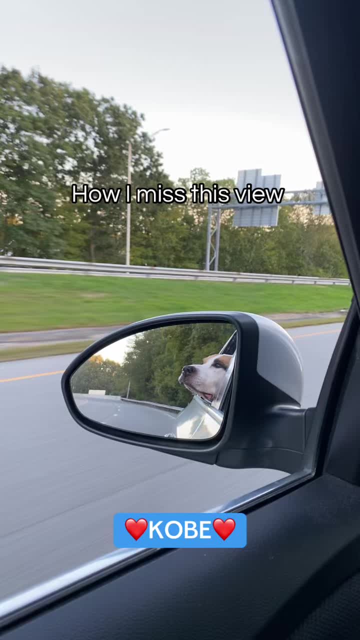 @Unbecomingluvluv