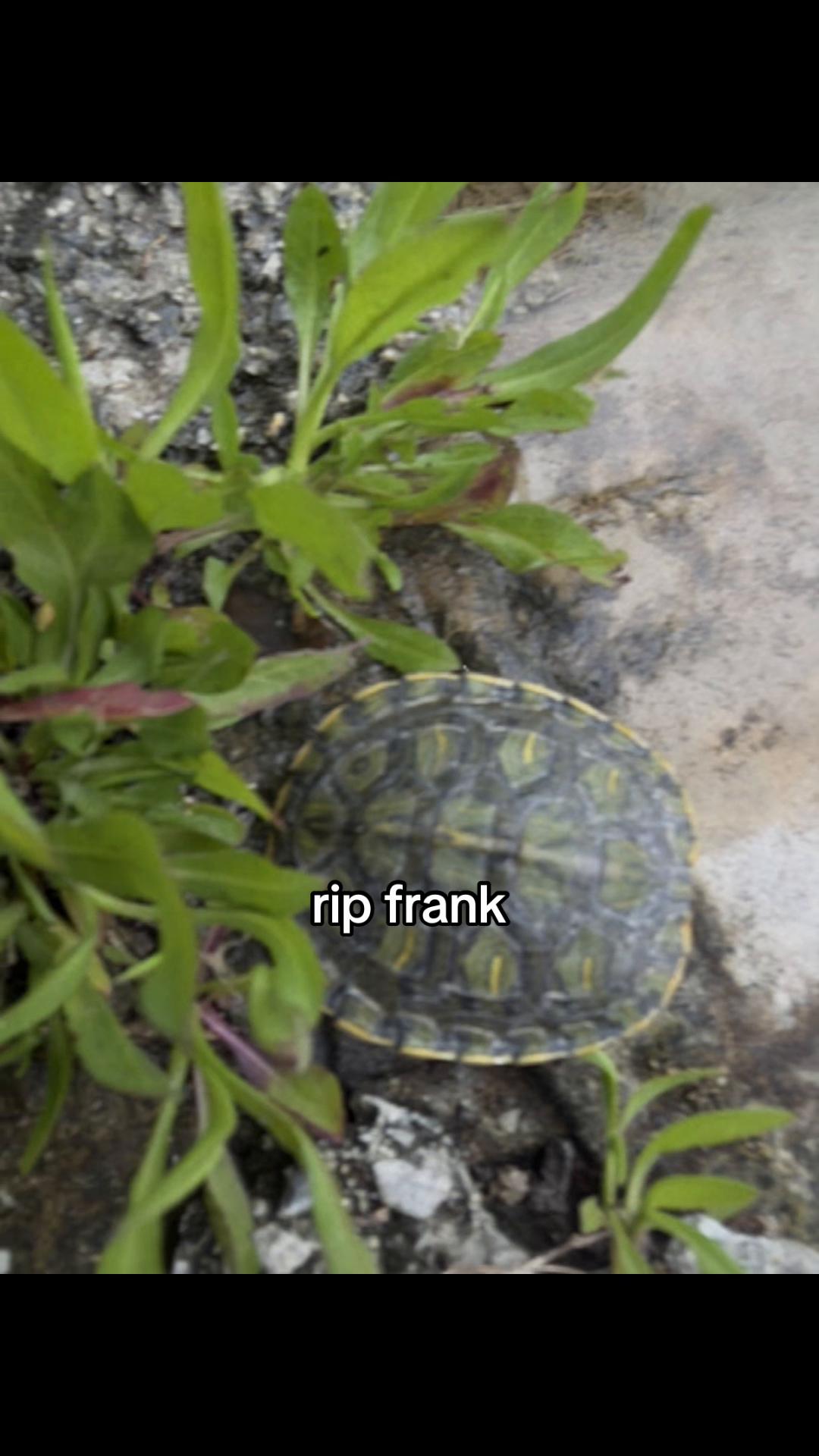 @〽️𝓪𝓬𝓲𝓮