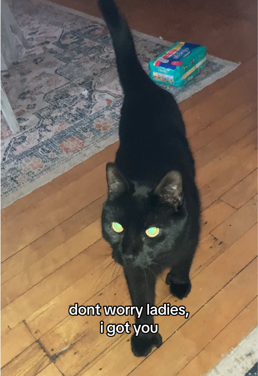 @kylo&loki