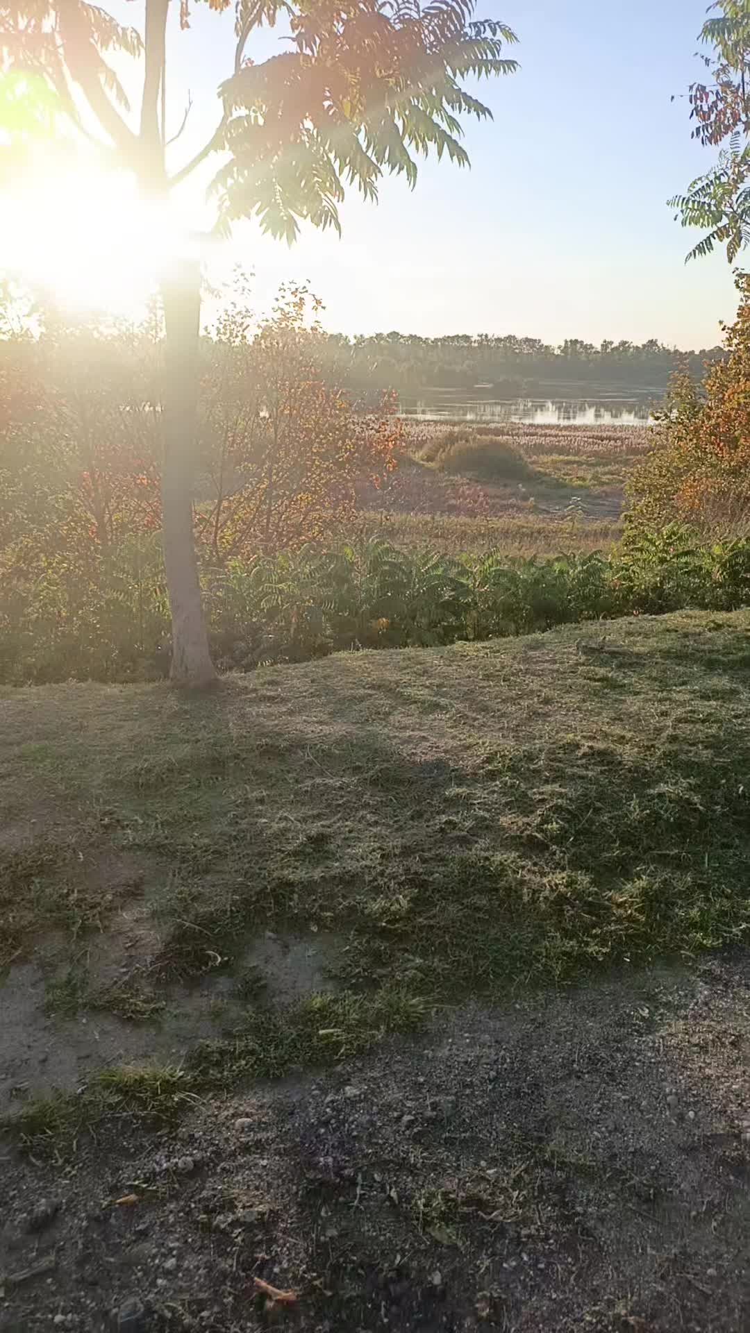 @Андрей