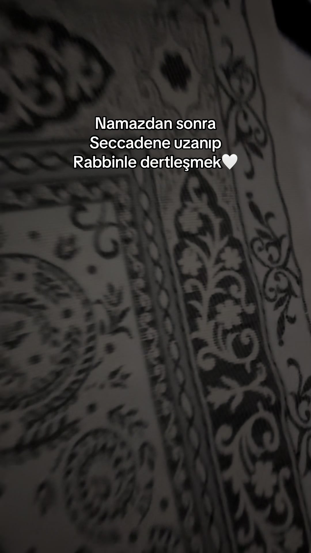 @sezeernihaal