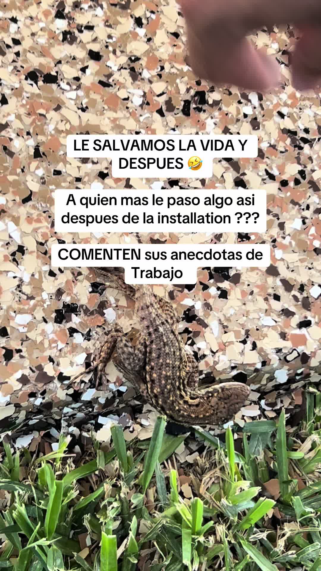 @Cris.Resin