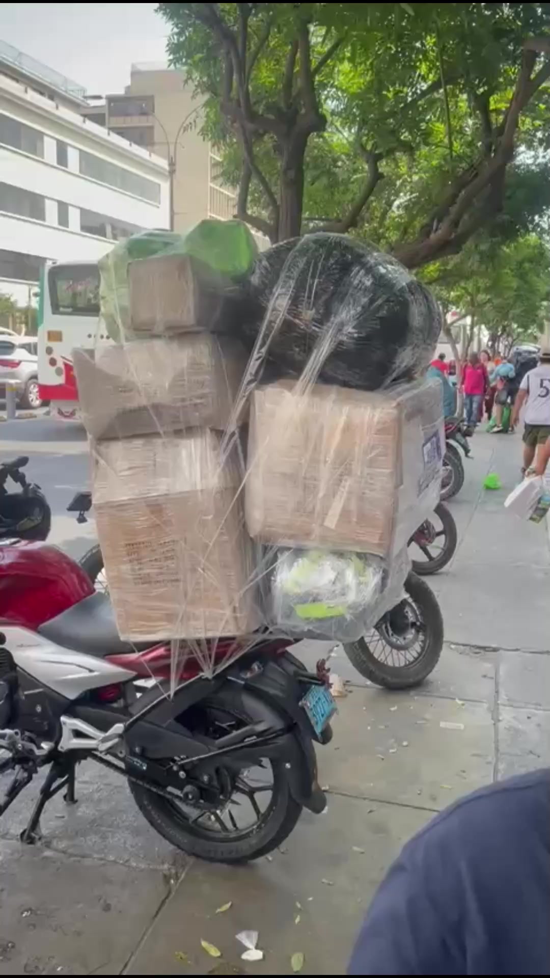 @Jos&eacute; Zapata