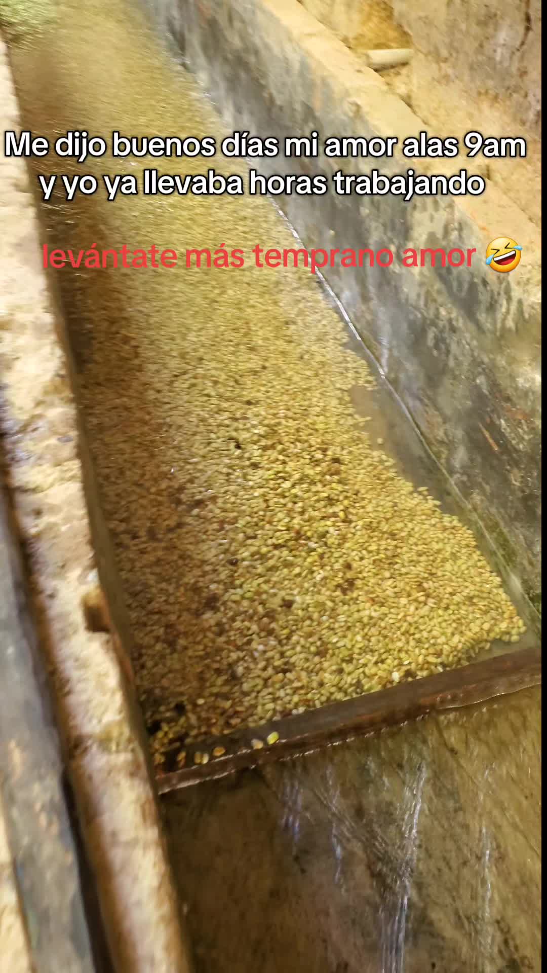 @Fabricio Martinez Pe
