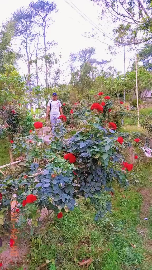 @Dhansagar Khadka