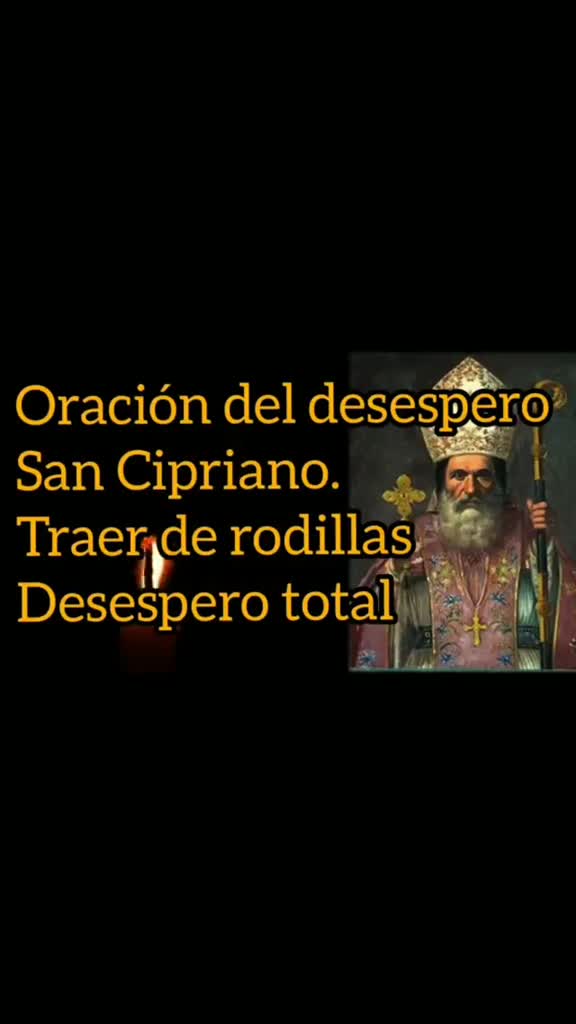 @ANGEL TAROT