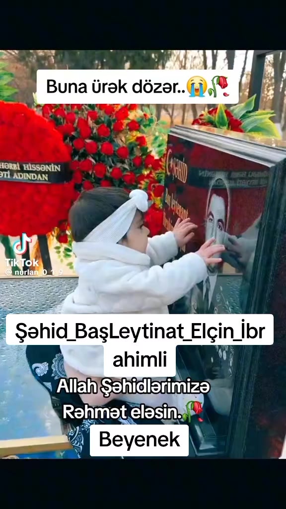 @meshedi_fuad_paniyev11