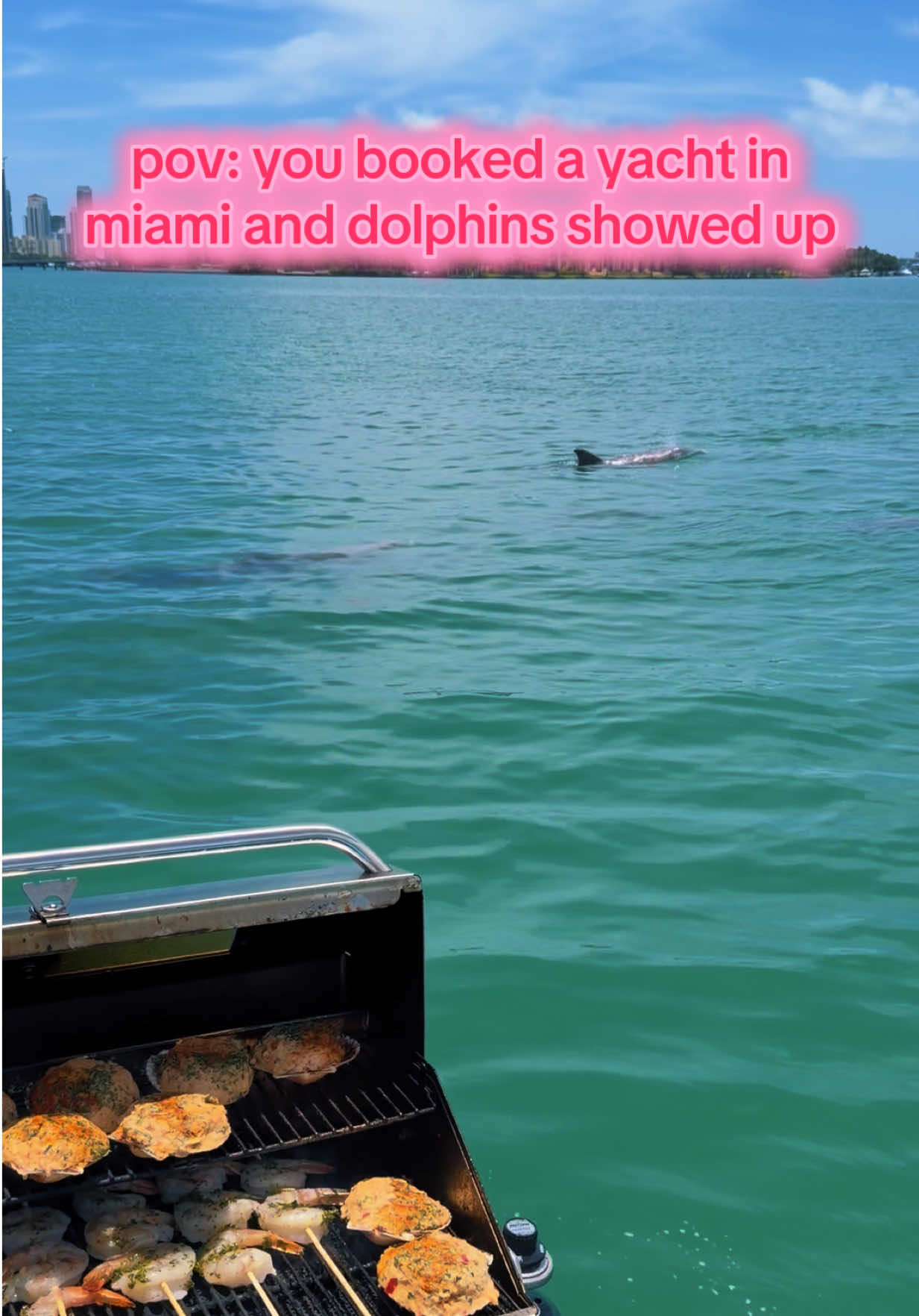 @Miami Yacht & Boat Rentals