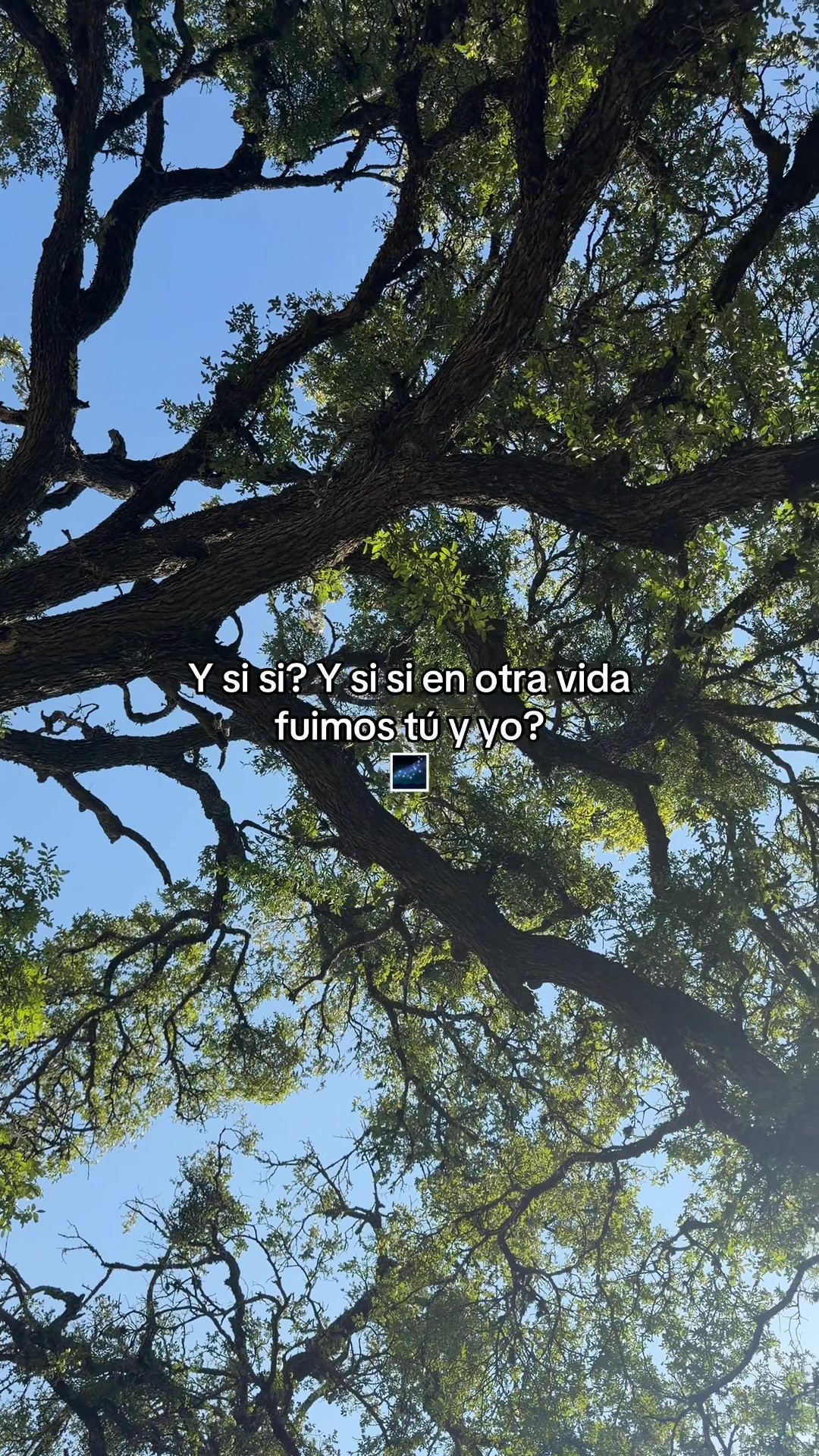 @Javi Diego