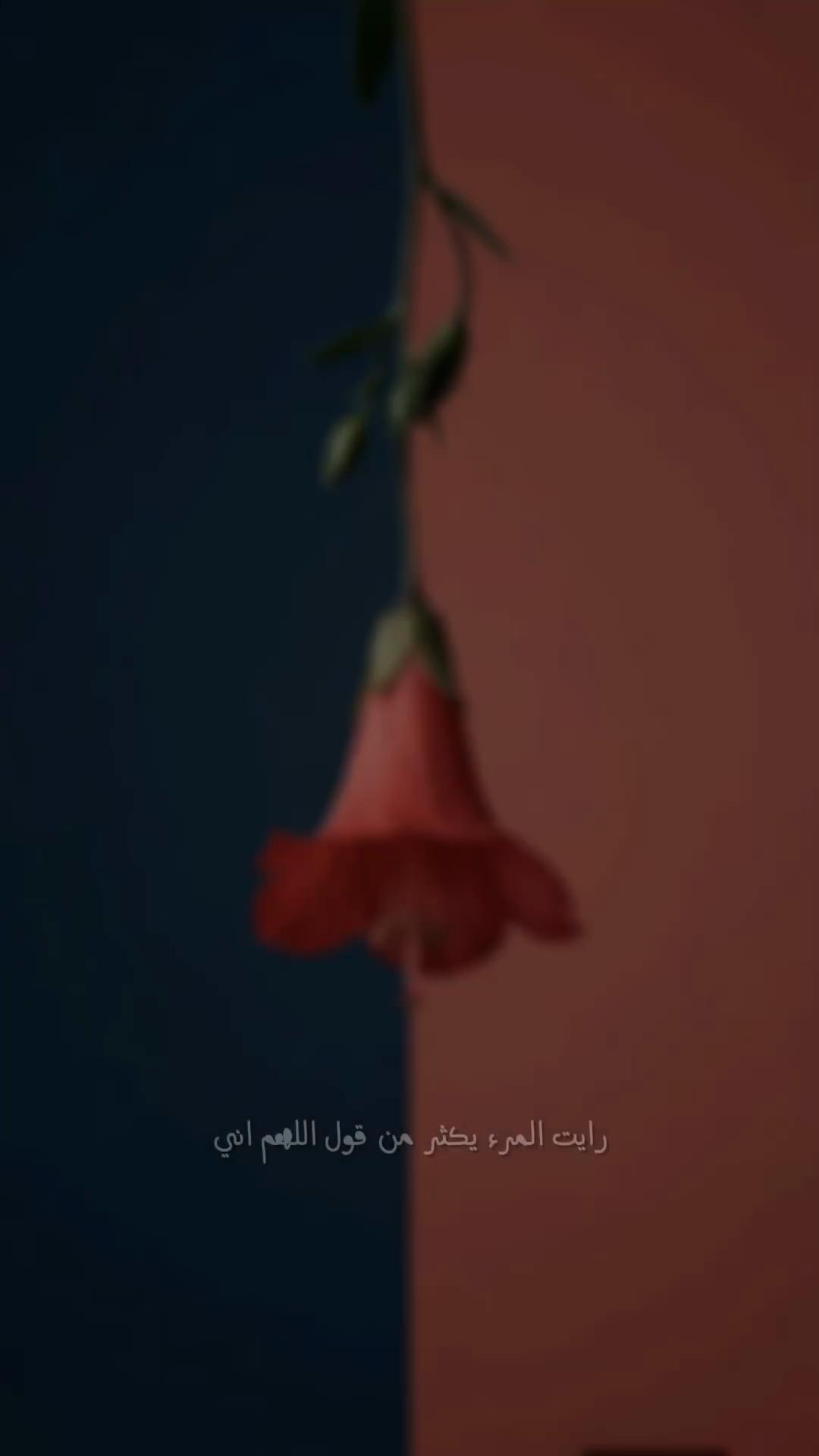 @๐ุงููุฑุงู _ูุงูุณูู ๐