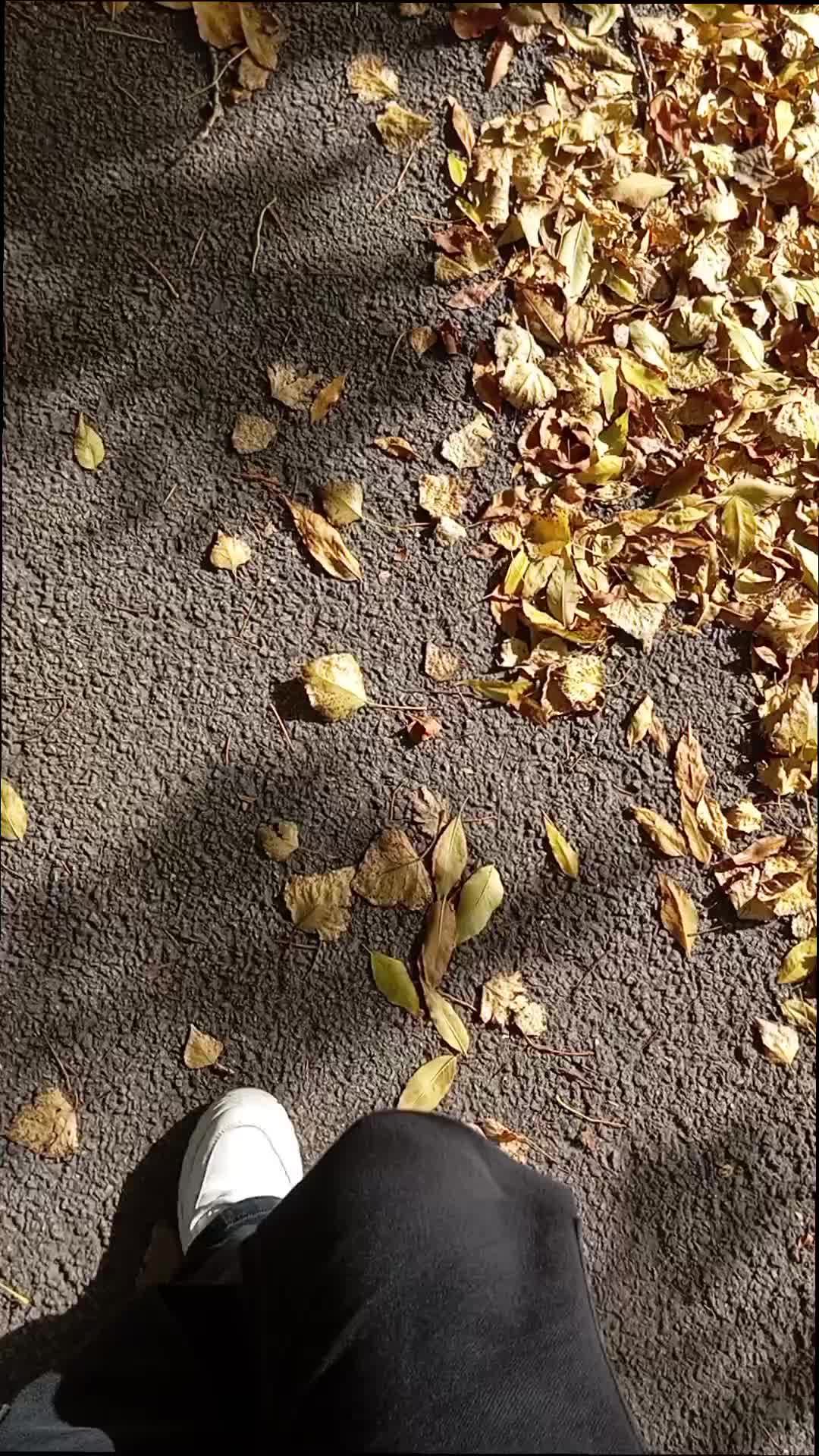 @🎧