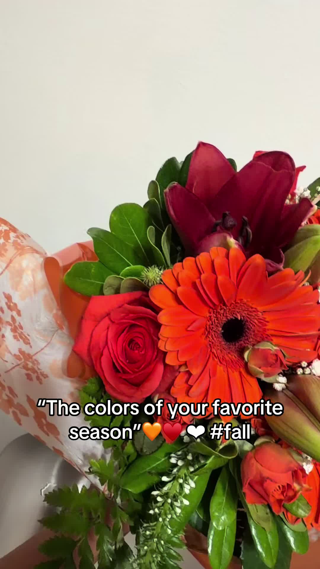 @𝒥𝒶𝓃ℯ𝓉❥