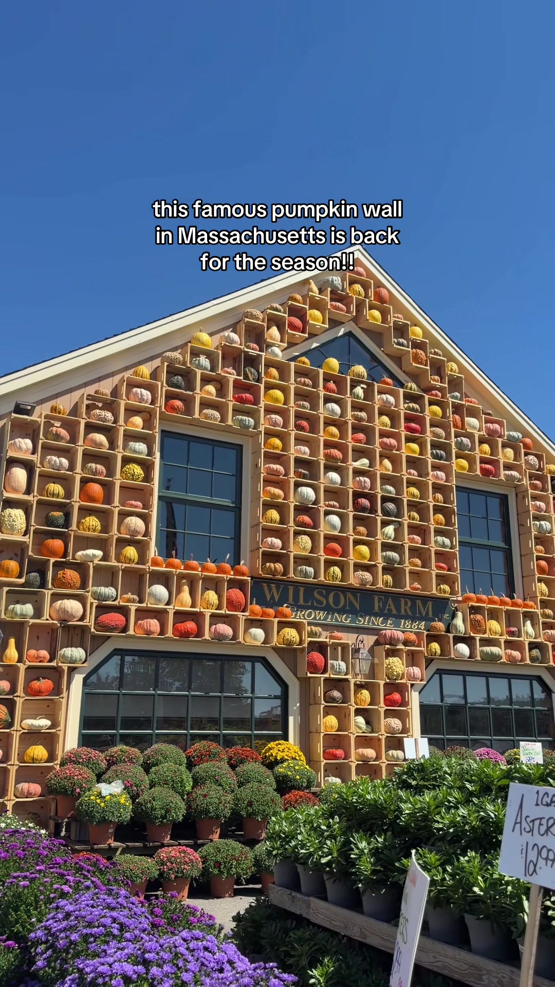 @sasha | beantown babe ๐ฆ