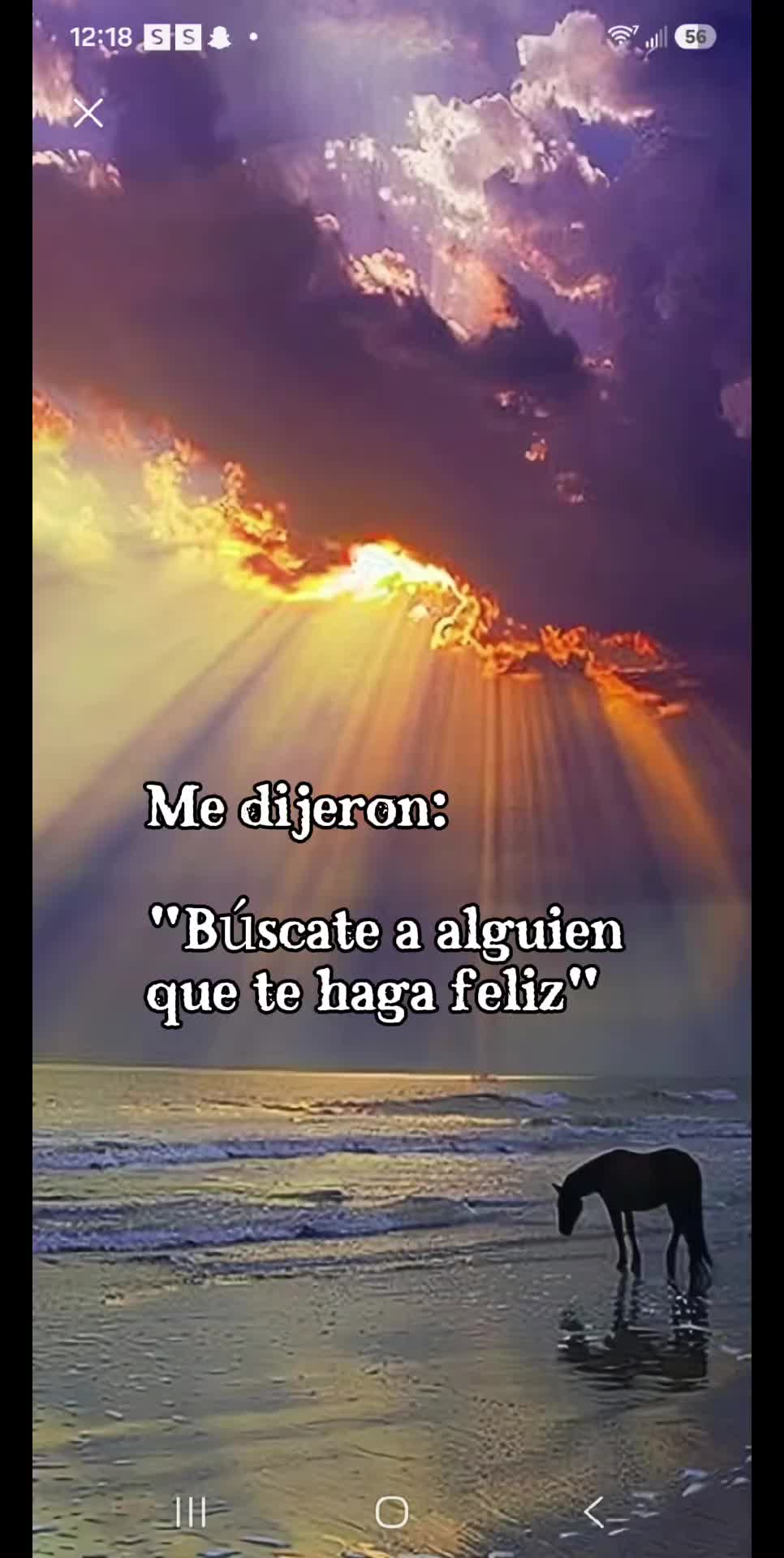 @Maribel 🌻