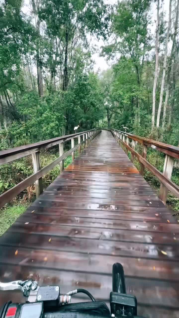 @s1wheelonly