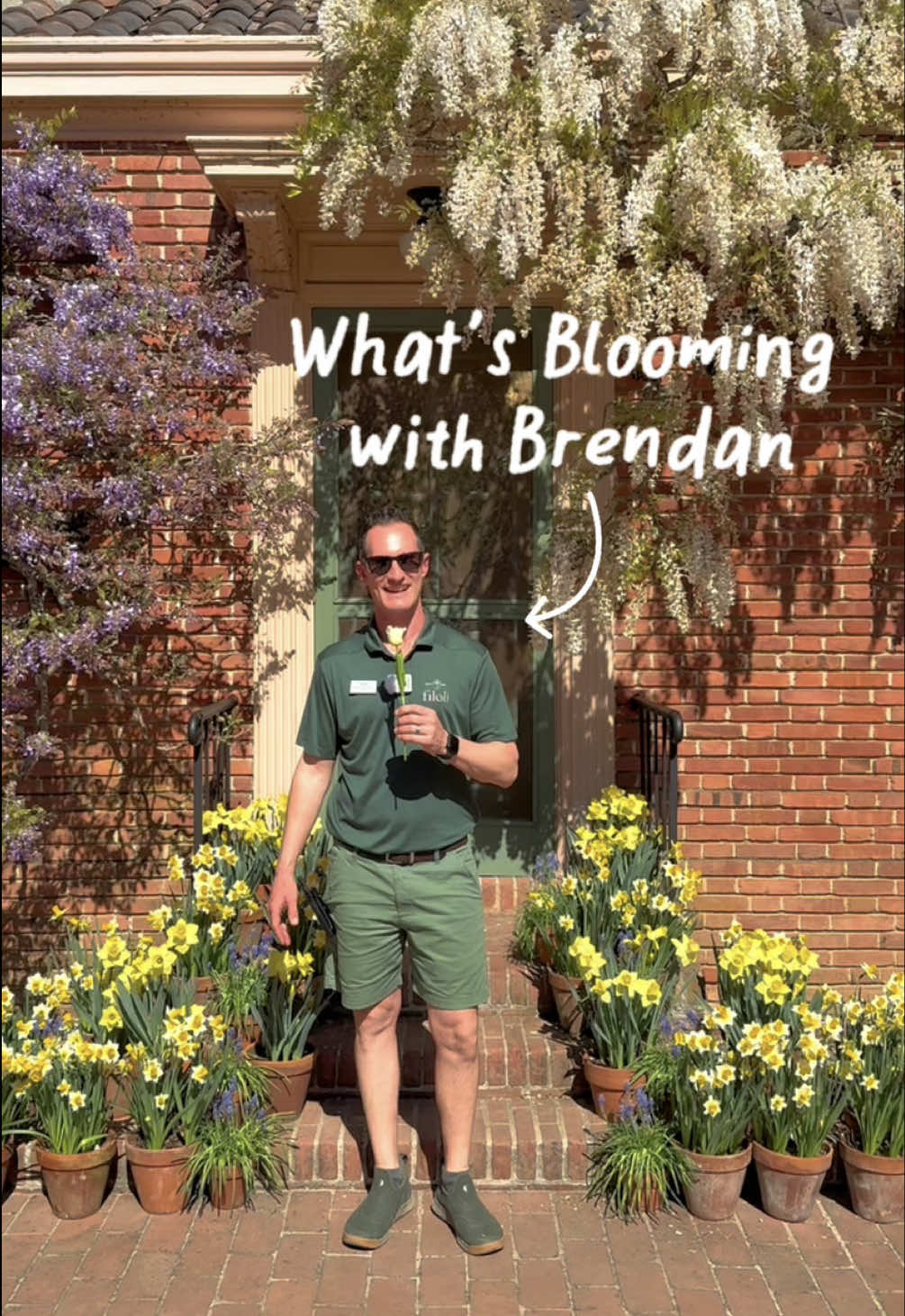 @Filoli
