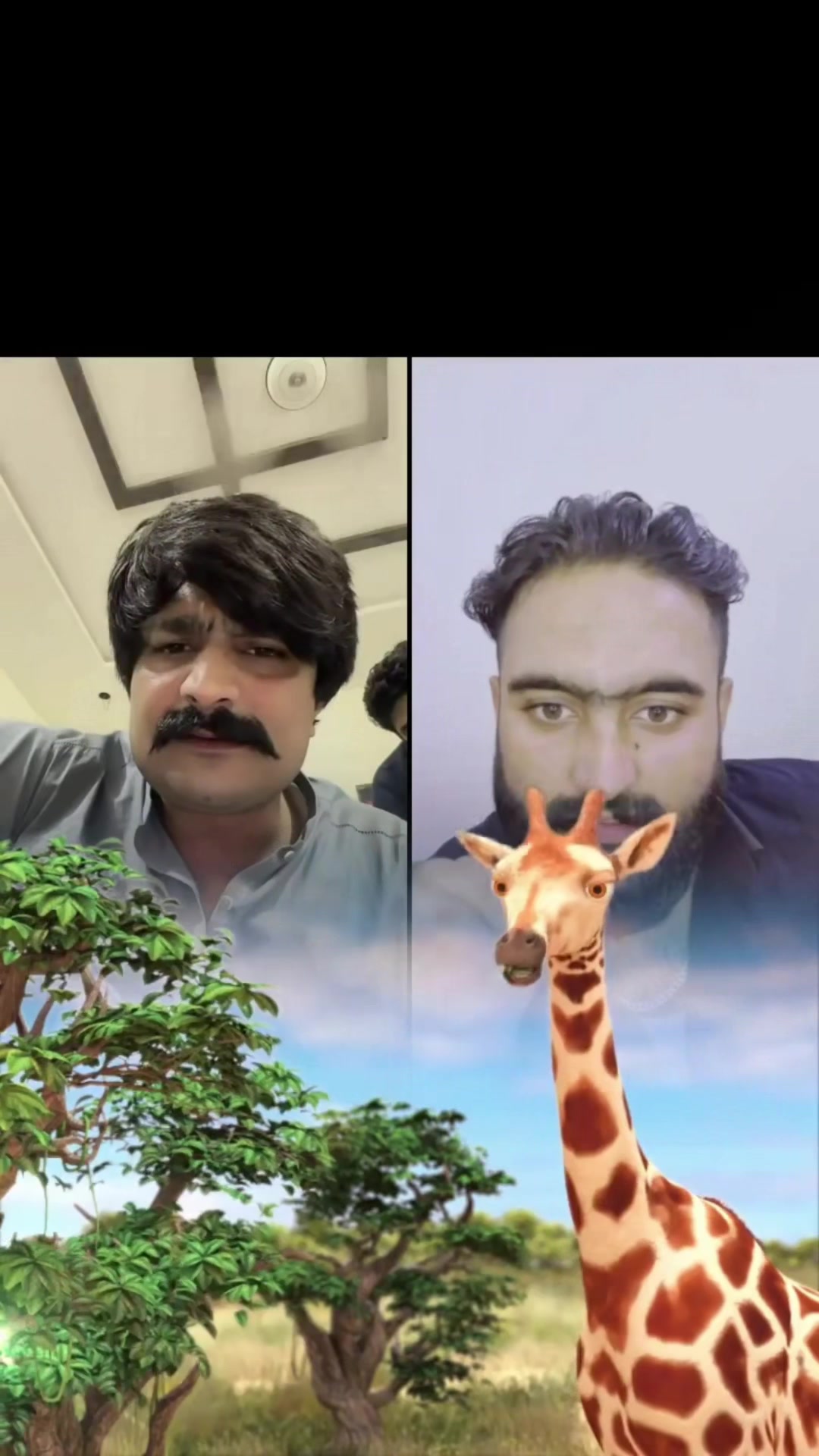 @DildarKahout❤️