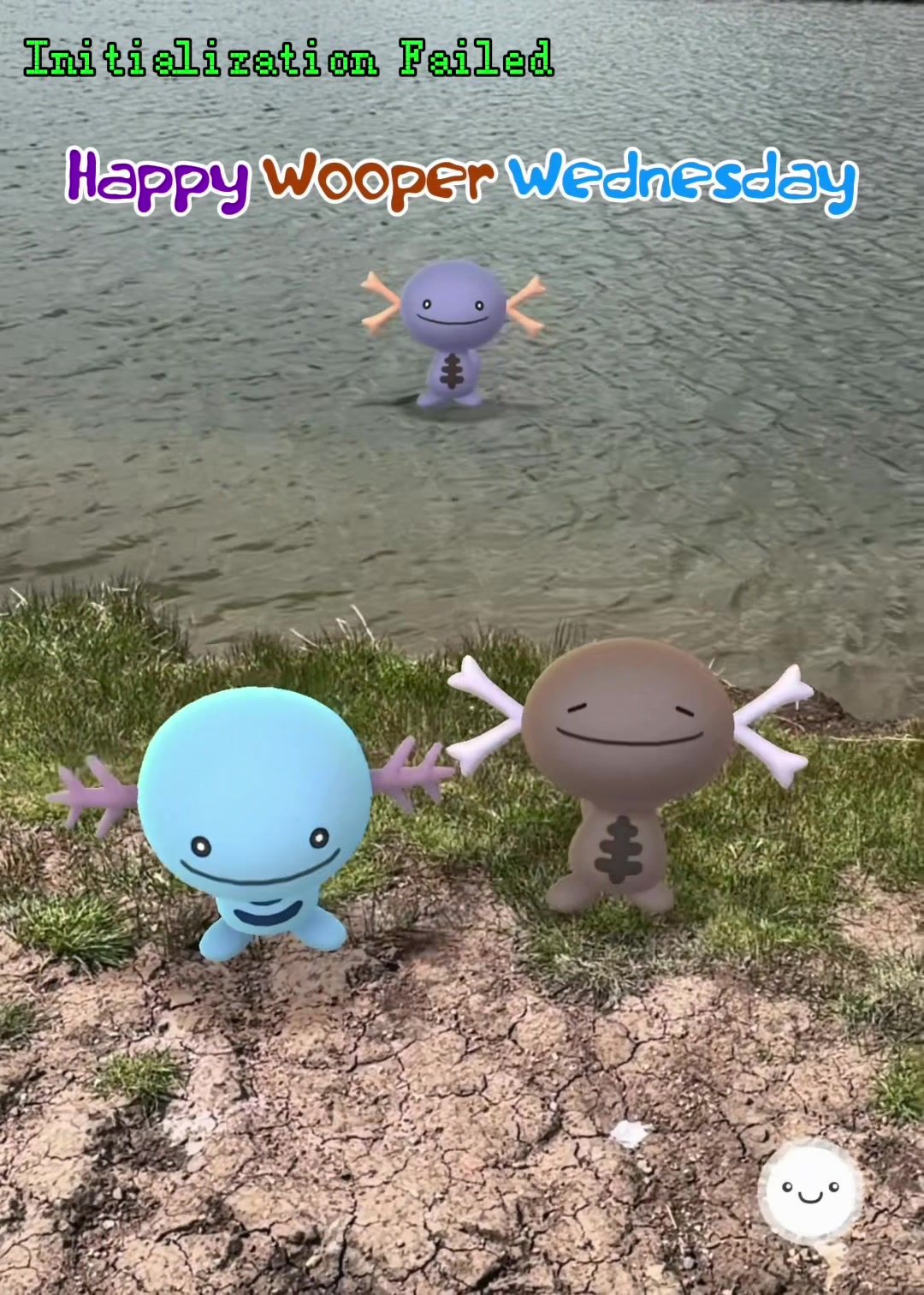 @The Wednesday Wooper