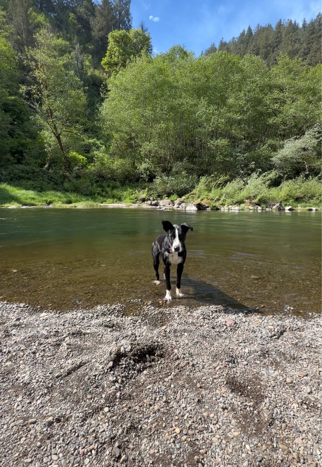 @oregonskyveek