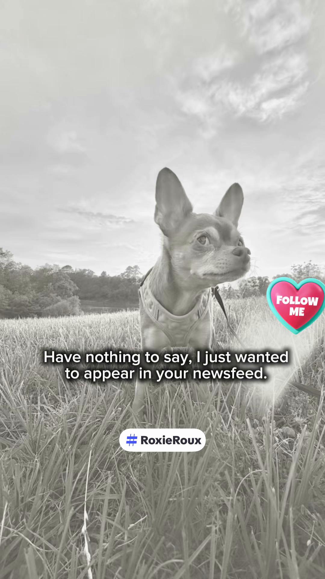 @Roxie Roux