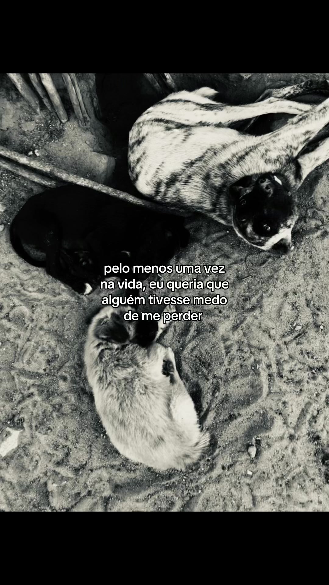 @VEREADOR