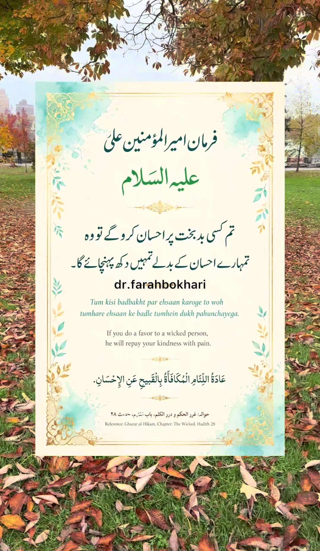 @dr.farahbokhari
