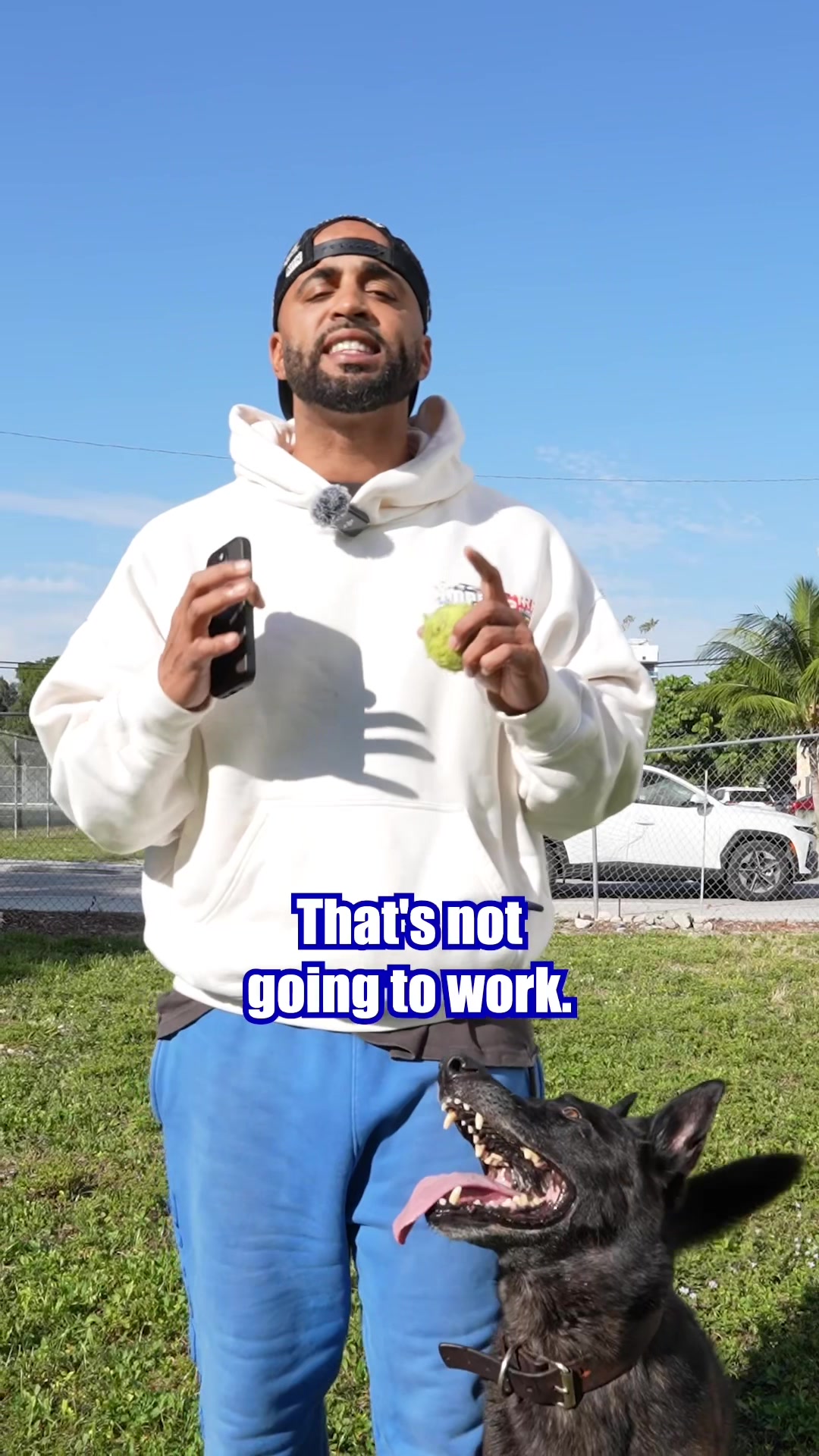 @Cali K9