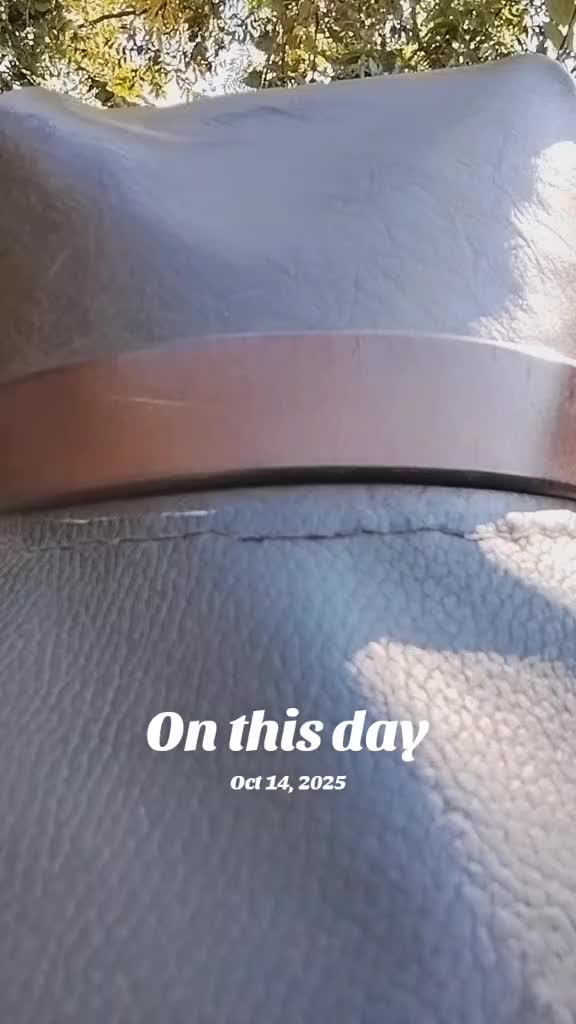 @Xolosia