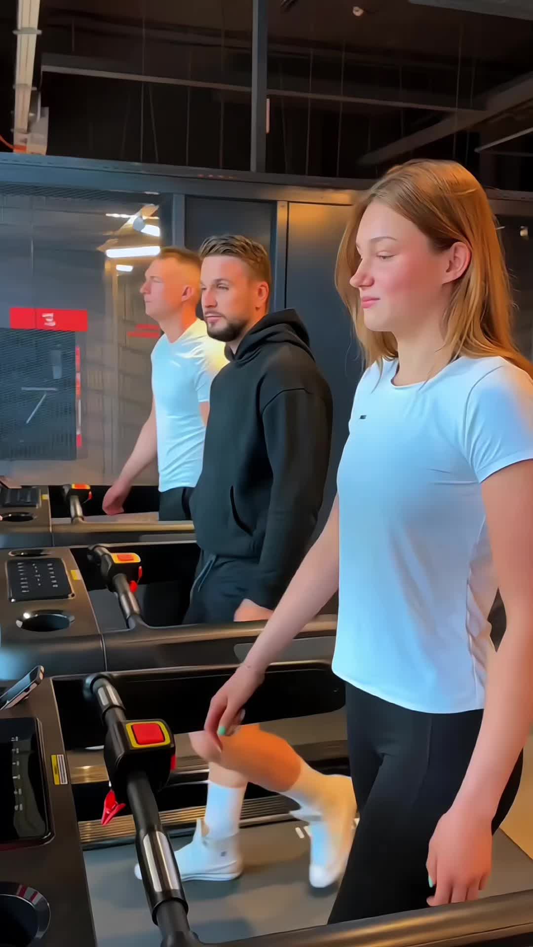 @Shark Gym