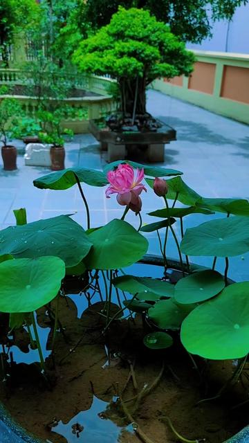 @Nguyễn Hoài Văn