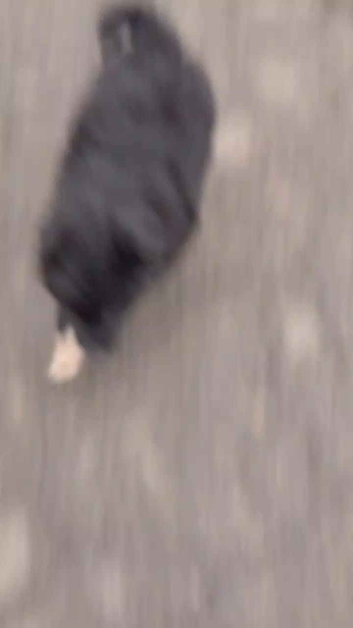 @Ленуся 🐱