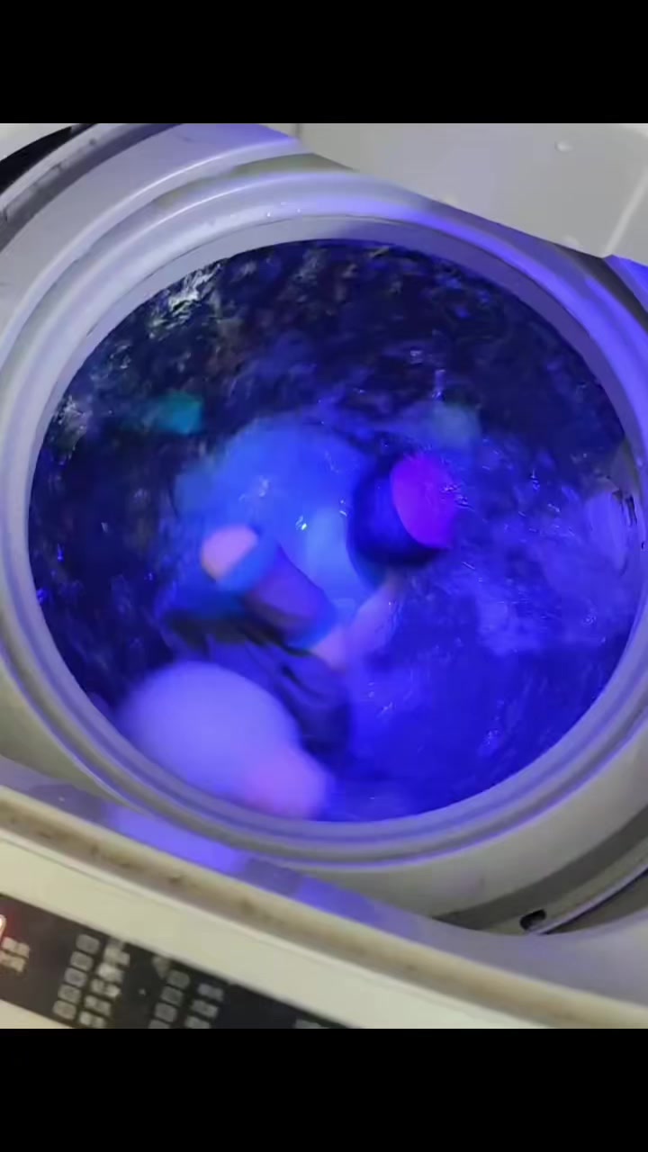 @𓆩ꨄ︎𓆪TOᗪEᔕEᑎGEᒪ𓆩ꨄ︎𓆪
