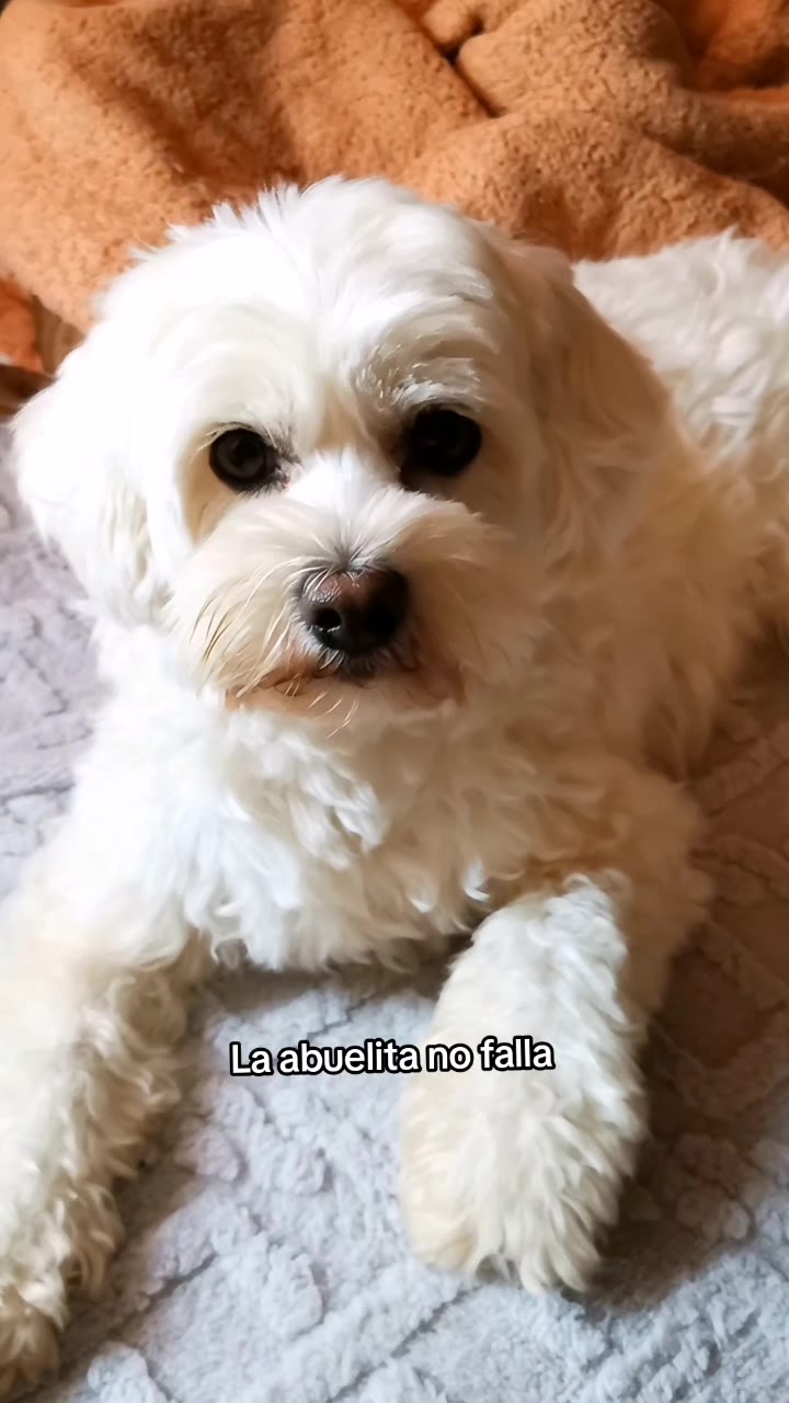 @Doki🦴🐾