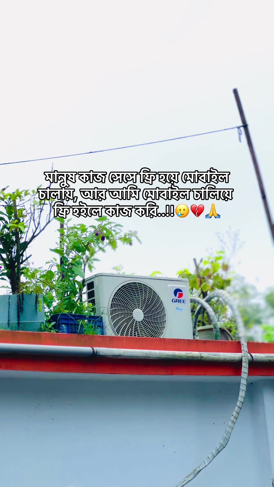 @BD_(ভন্ড)_ jihad🕊️