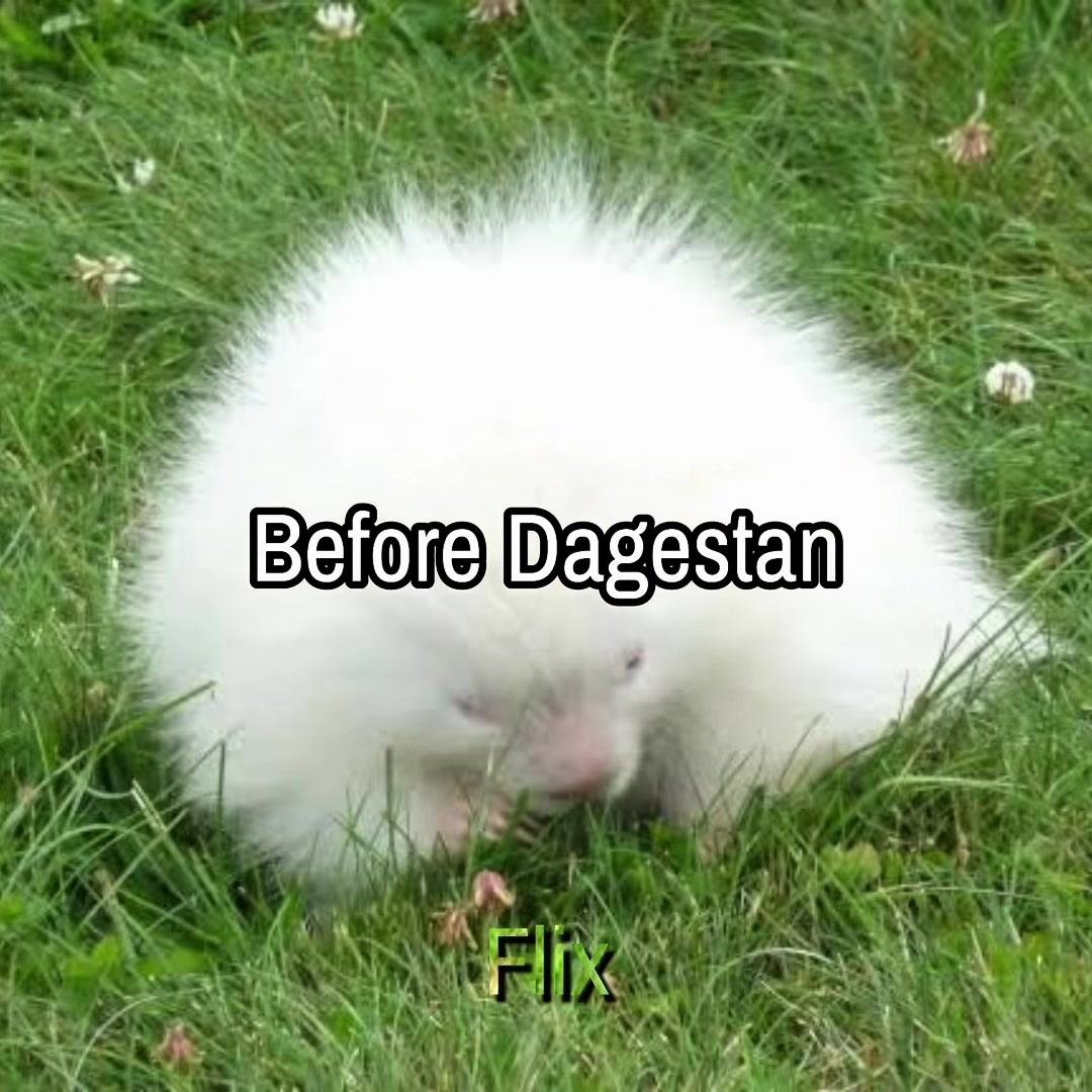 @𝓕𝓵𝓲𝔁🎩🪄