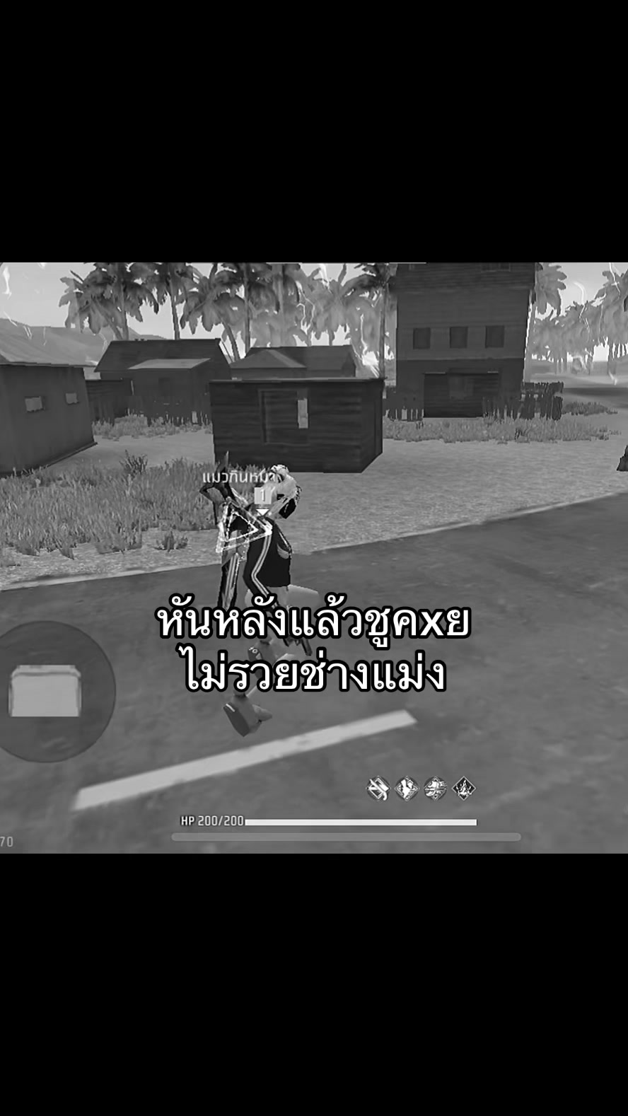 @แมวไม่มีเจ้าของ