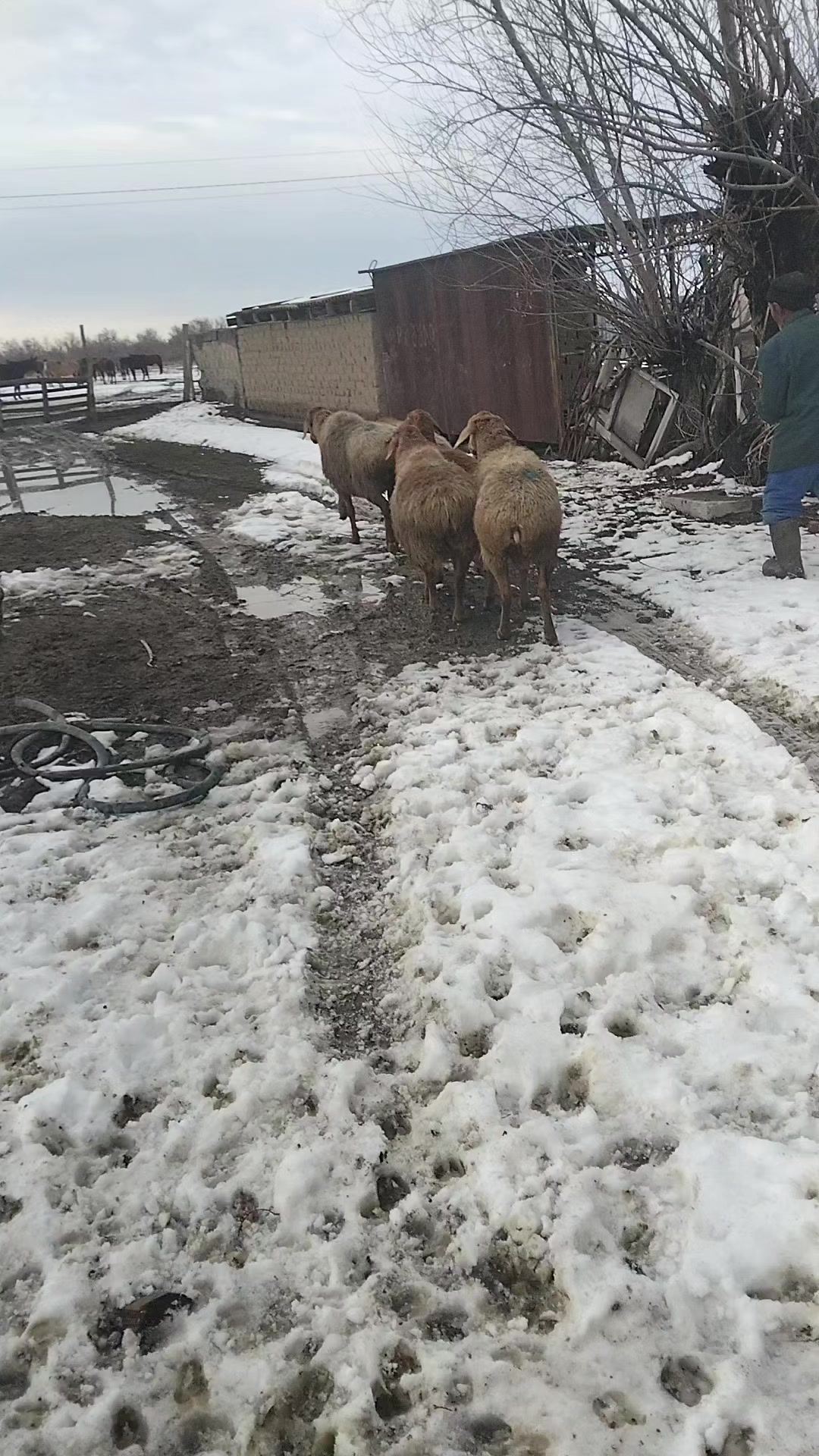 @Рахат