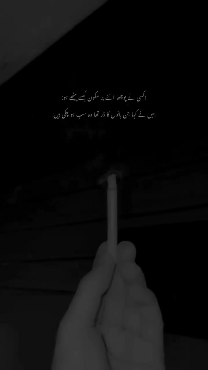 @Alinaqvi110🦅