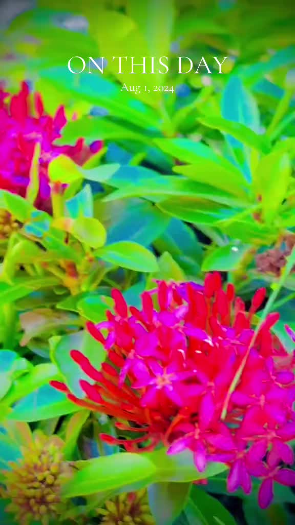 @''Aкคsн"