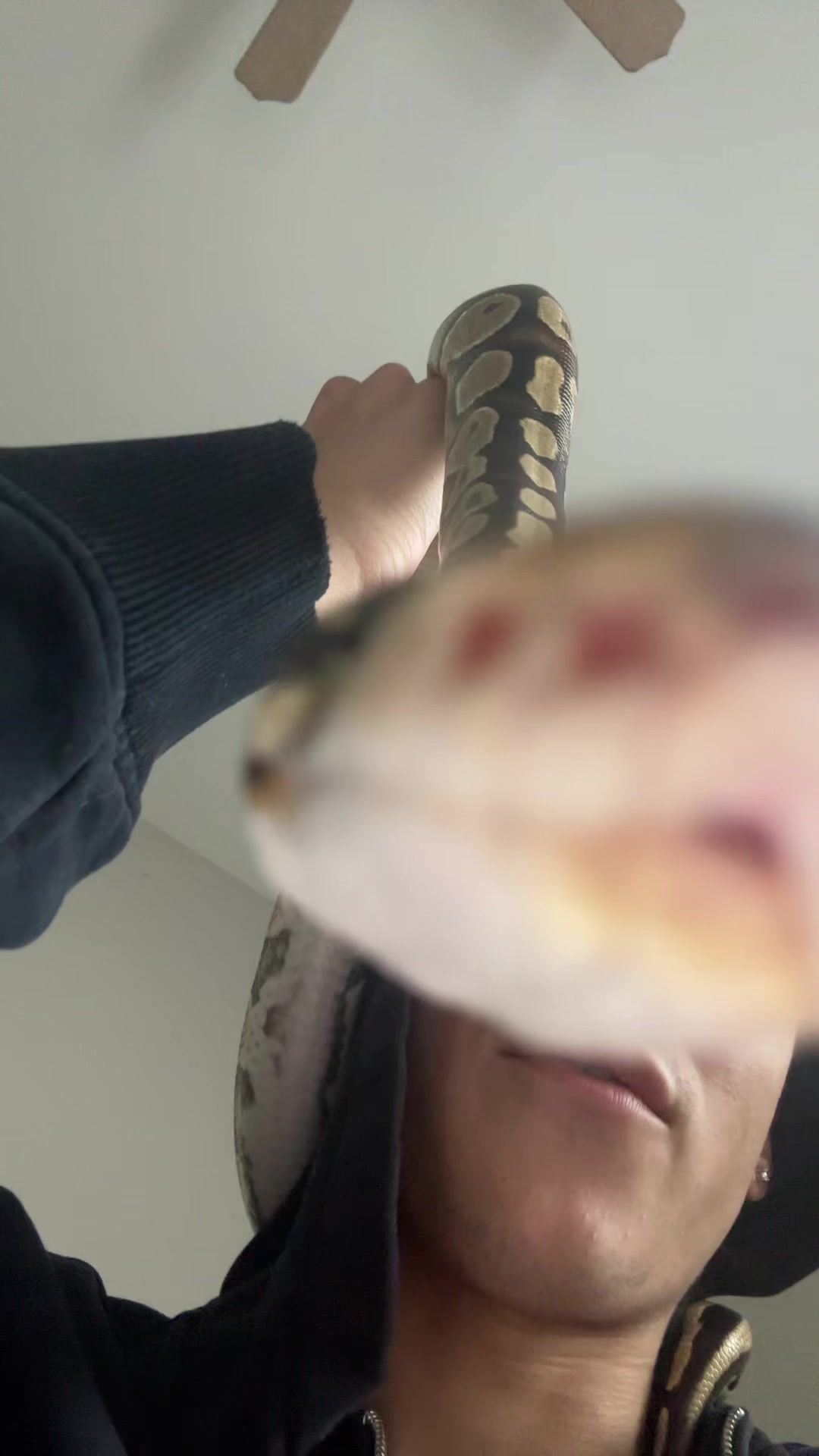 @el.elli0t_