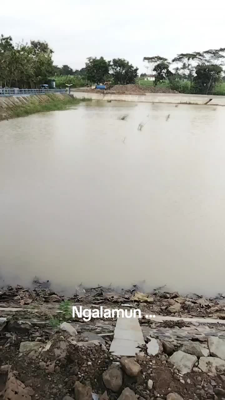 @LEMBUR PAKUAN
