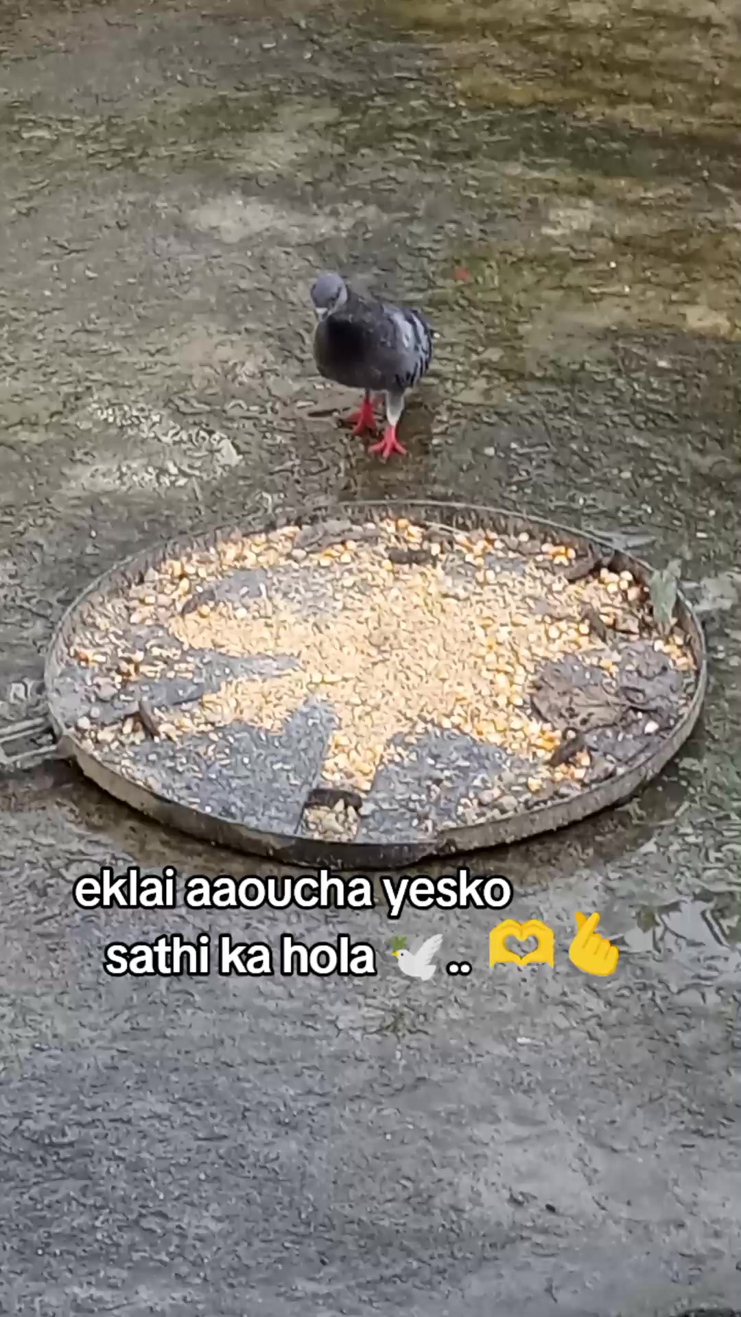 @🪬PARI