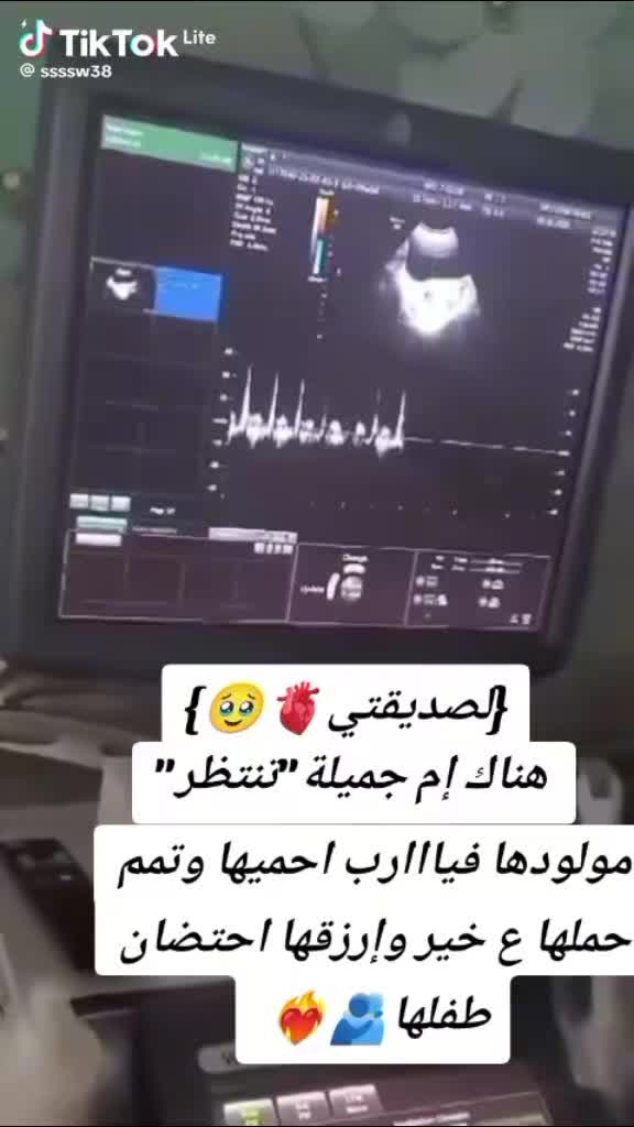 @انس الشامي