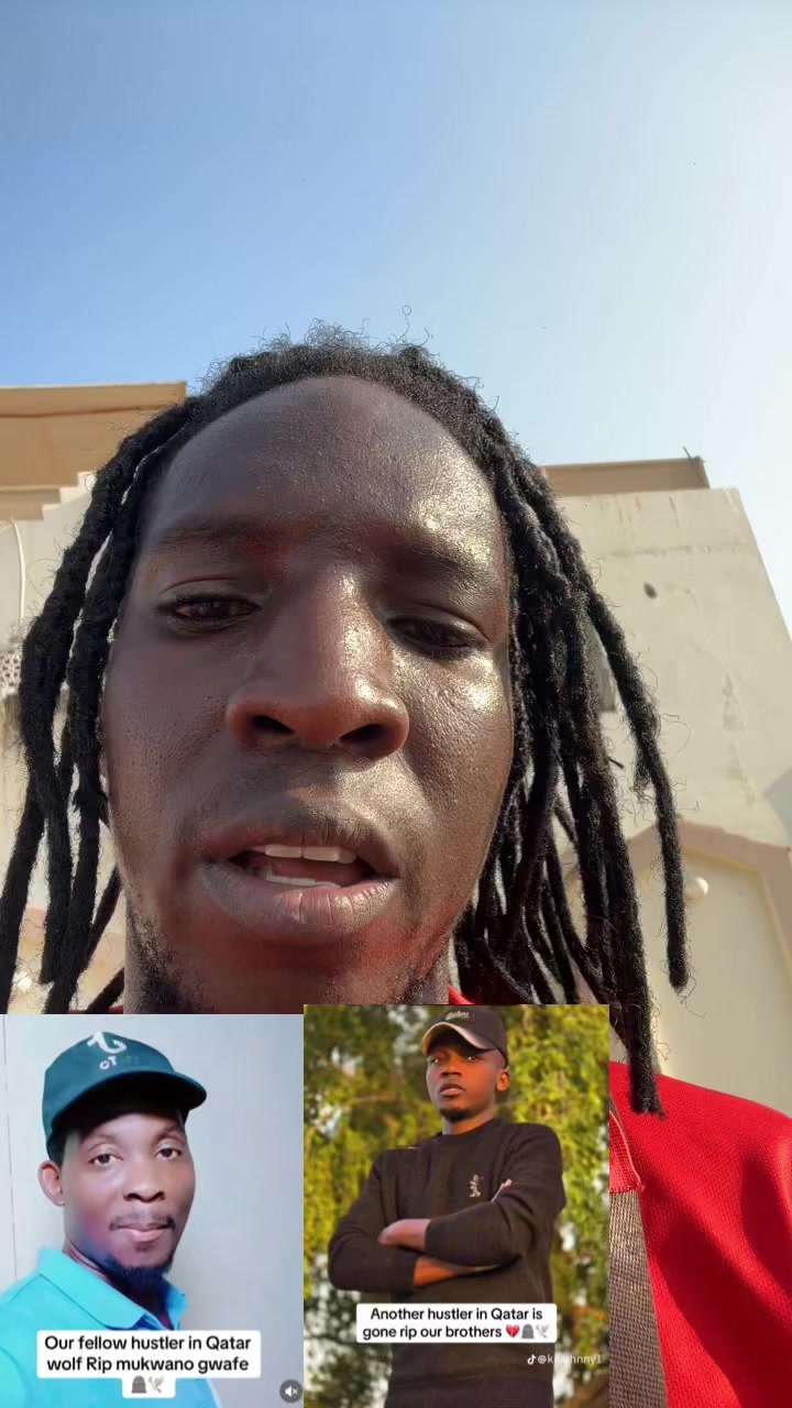 @Softmedia256