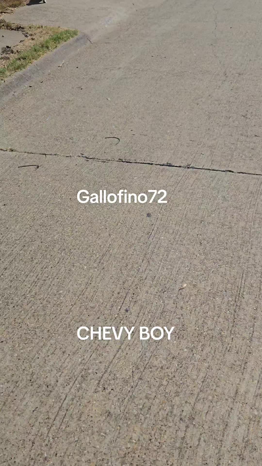 @ElGalloFino