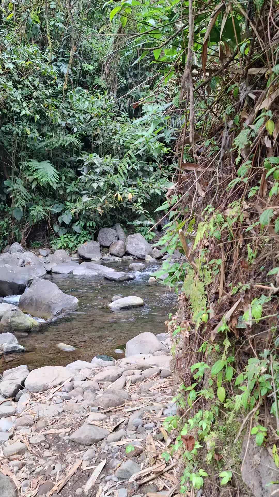 @Gasle Fishing